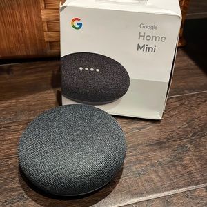 Google home mini